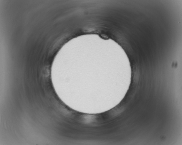 X0000111850085200909031737