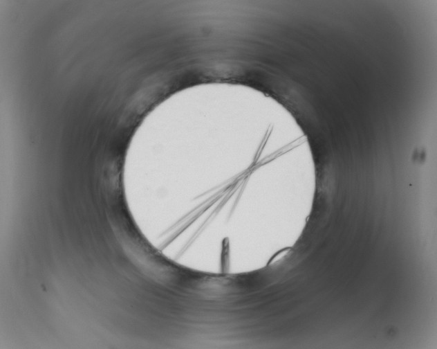 X0000111850086200909031737