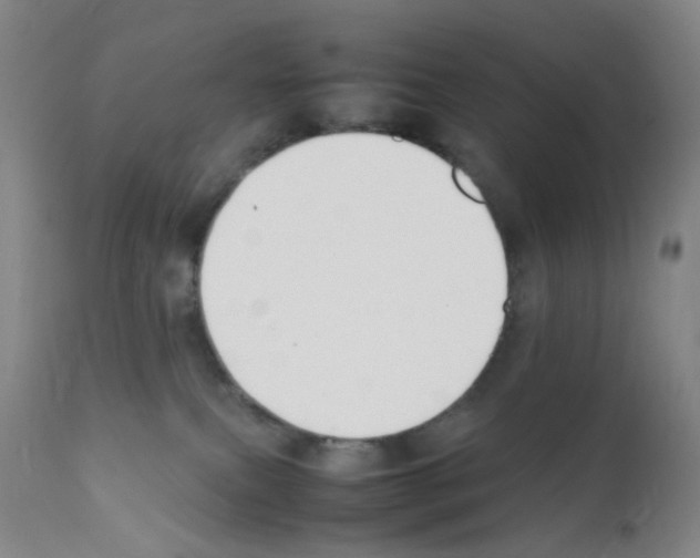 X0000111850087200909031737