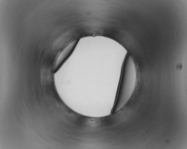 X0000111850088200909031737