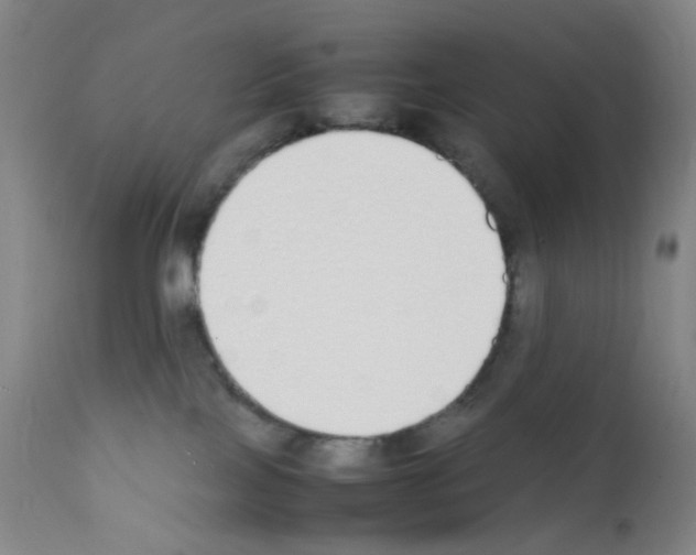 X0000111850089200909031737