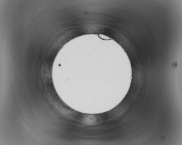 X0000111850091200909031737