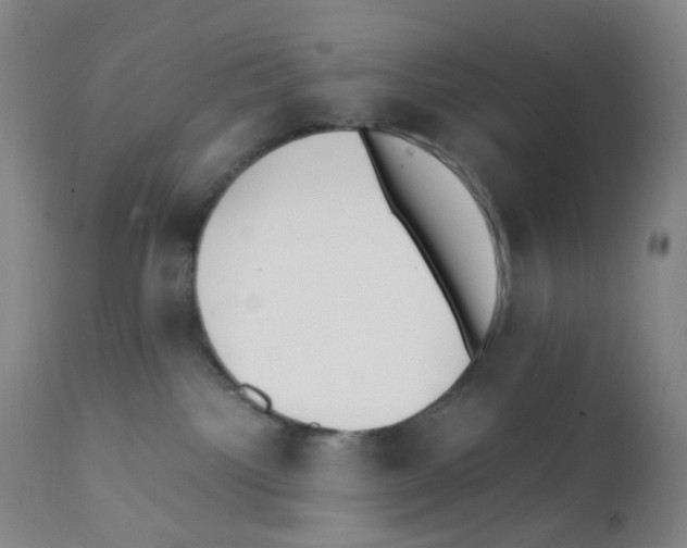 X0000111850092200909031737