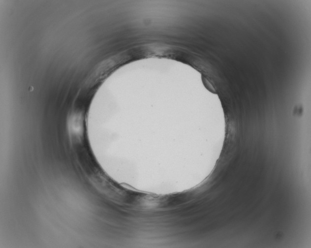 X0000111850094200909031737