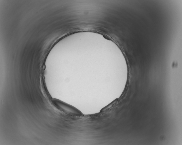 X0000111850097200909031737