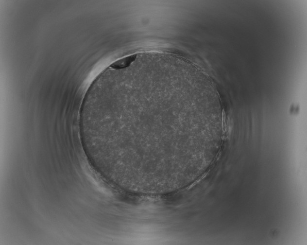 X0000111850099200909031737