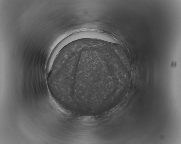 X0000111850100200909031737