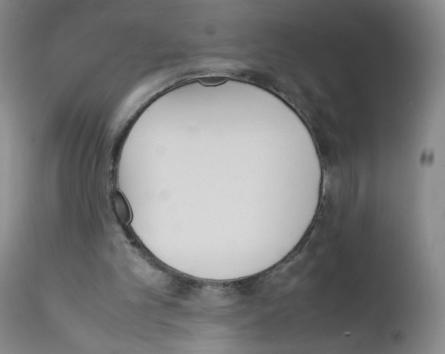 X0000111850101200909031737