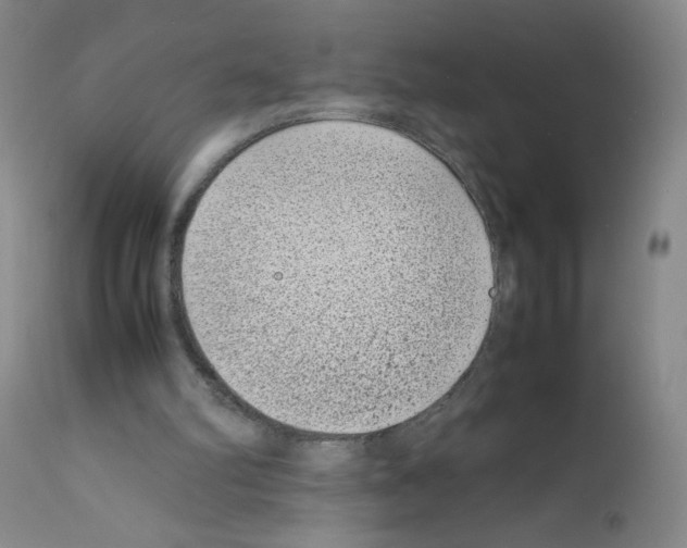 X0000111850102200909031737