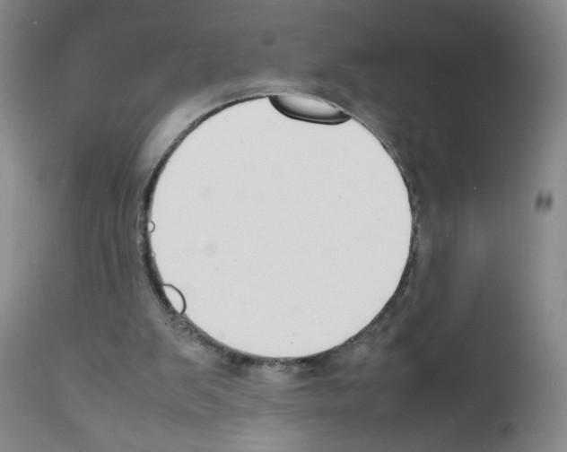 X0000111850103200909031737