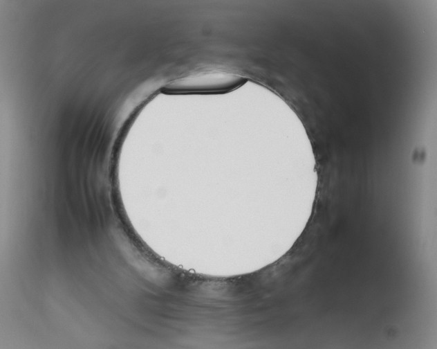 X0000111850104200909031737