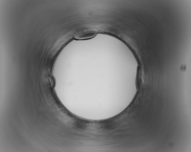 X0000111850105200909031737