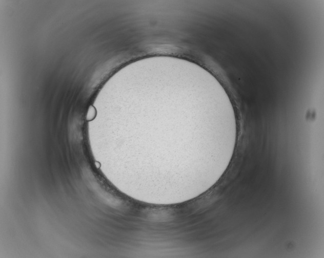 X0000111850106200909031737