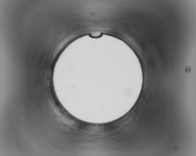 X0000111850107200909031737