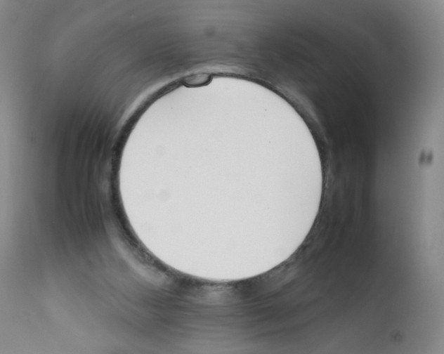 X0000111850108200909031736