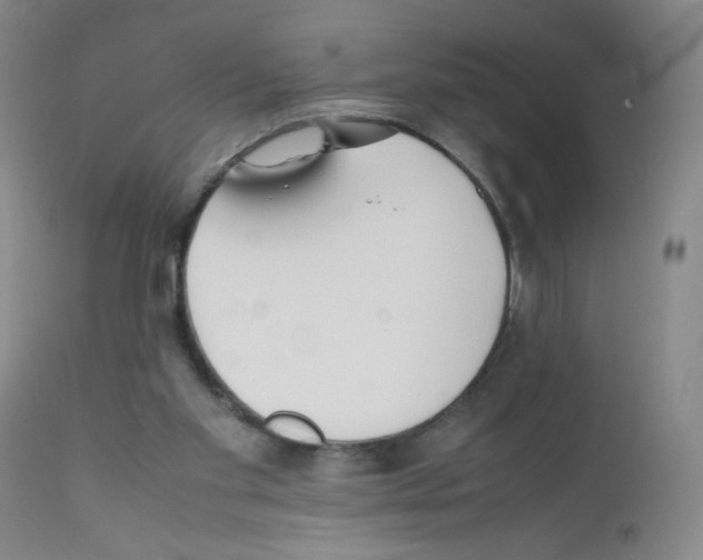 X0000111850109200909031736