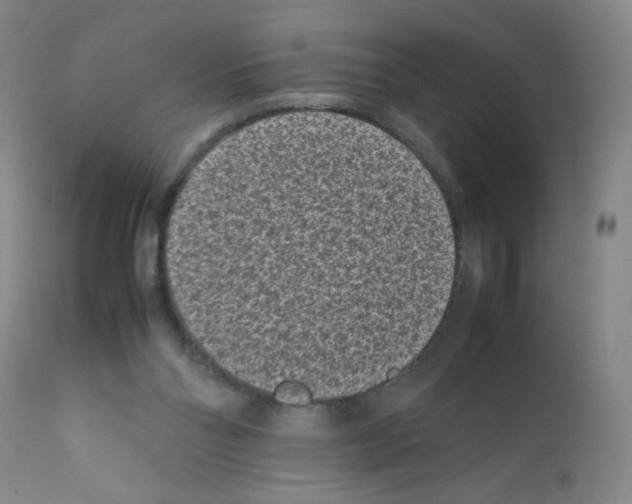 X0000111850110200909031736