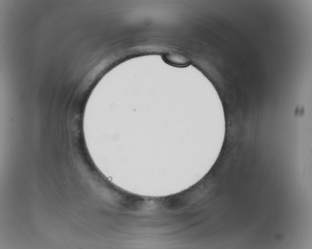 X0000111850111200909031736