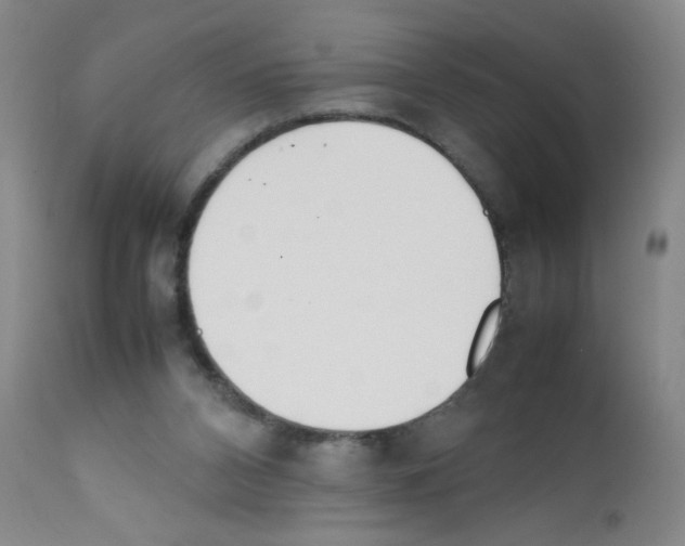 X0000111850112200909031736