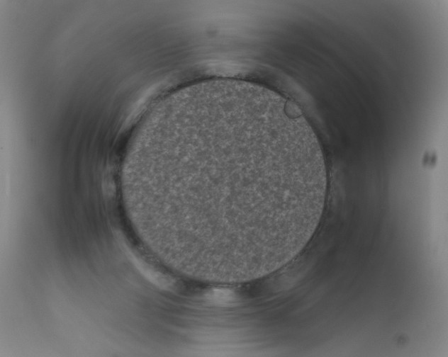 X0000111850114200909031736