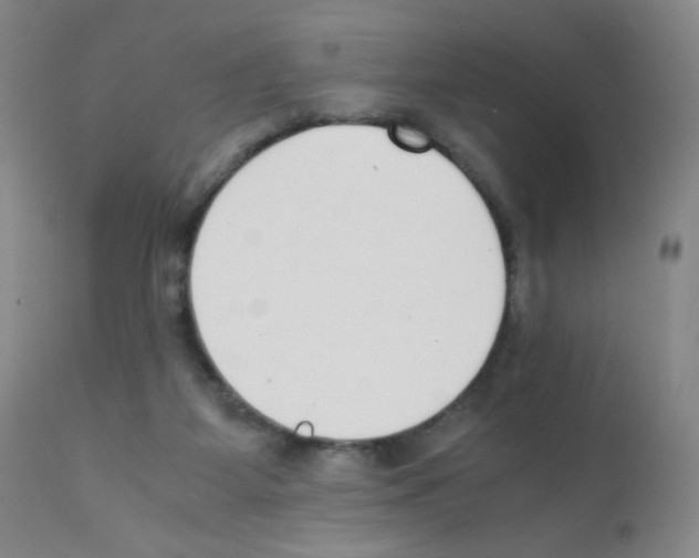 X0000111850115200909031736