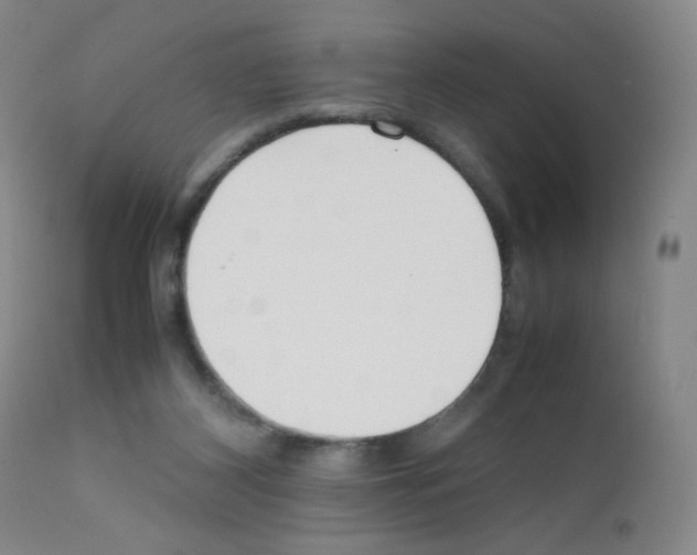 X0000111850116200909031736