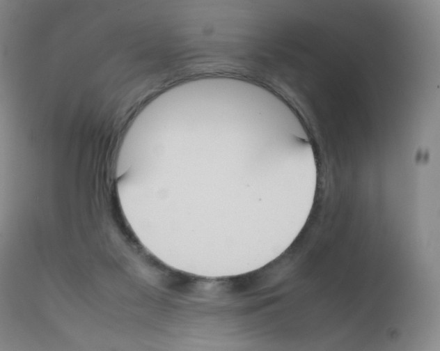 X0000111850117200909031736