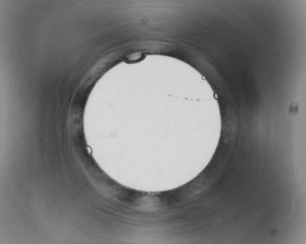 X0000111850119200909031736
