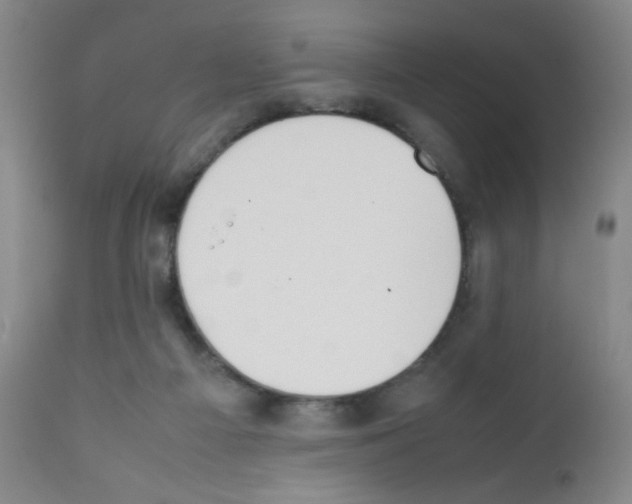 X0000111850121200909031736