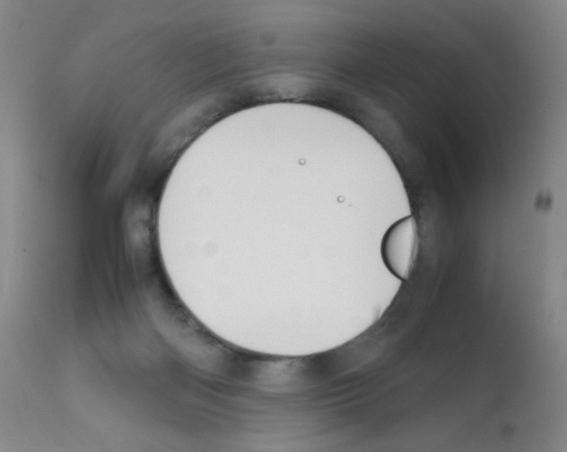 X0000111850122200909031736
