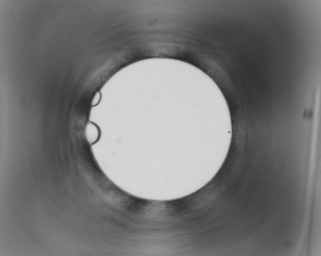 X0000111850123200909031736