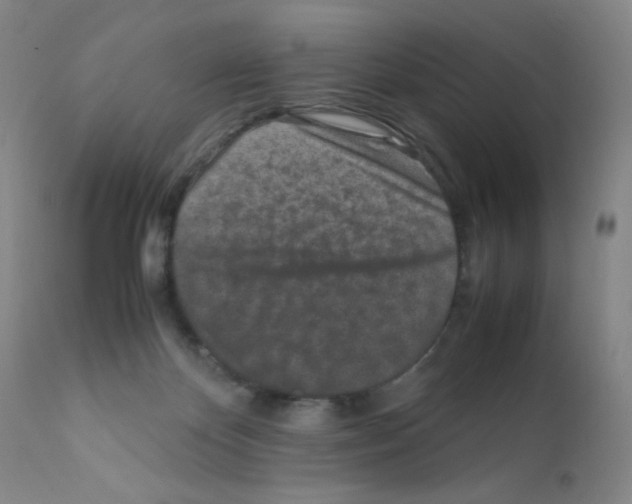 X0000111850124200909031736
