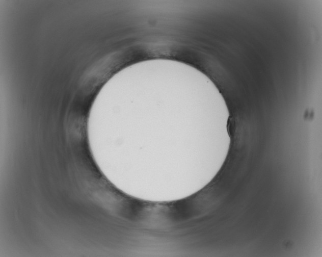 X0000111850125200909031736