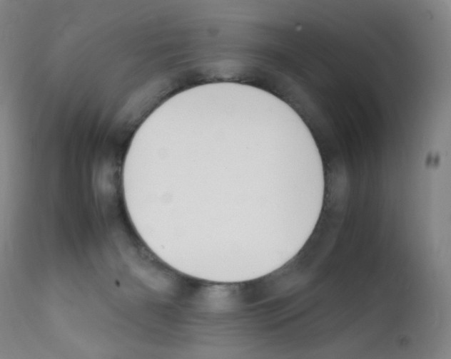 X0000111850126200909031736