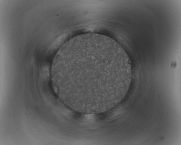 X0000111850127200909031736