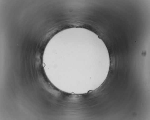 X0000111850128200909031736