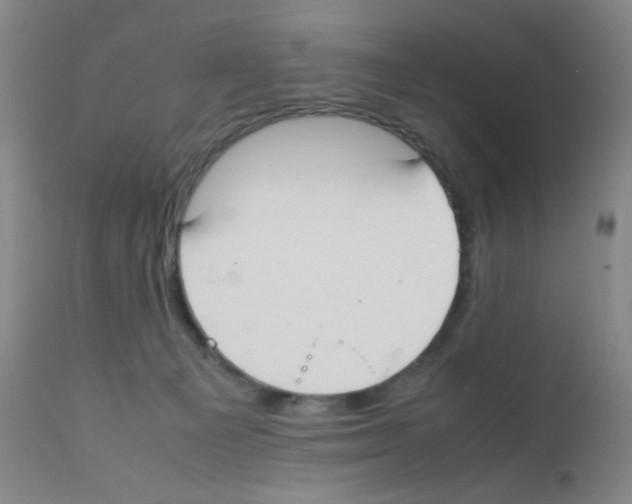 X0000111850129200909031736