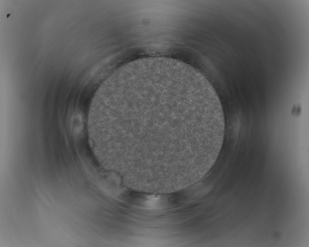 X0000111850130200909031736