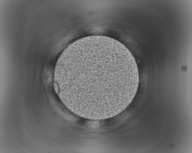 X0000111850131200909031736