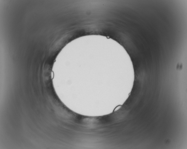 X0000111850133200909031736