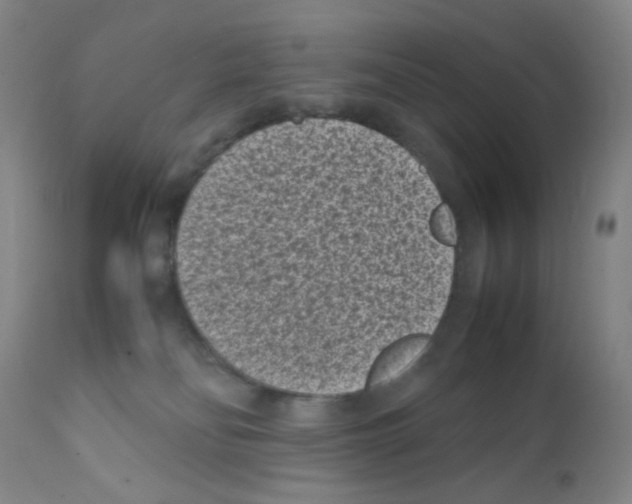 X0000111850134200909031736