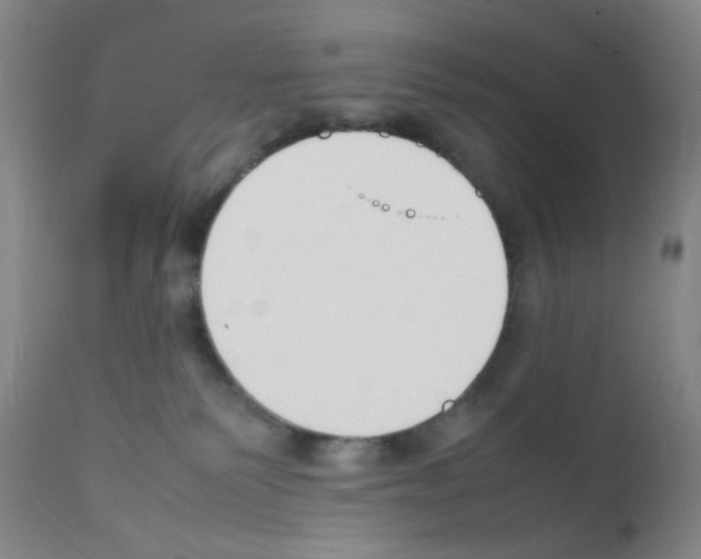 X0000111850135200909031736