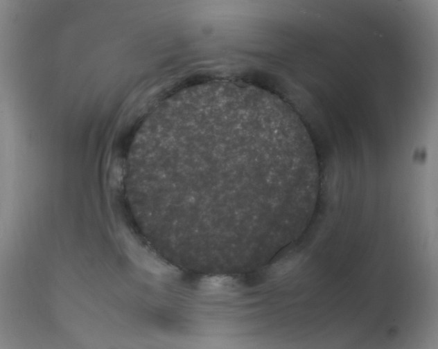 X0000111850137200909031736