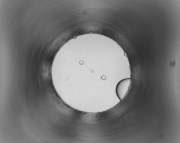 X0000111850138200909031736
