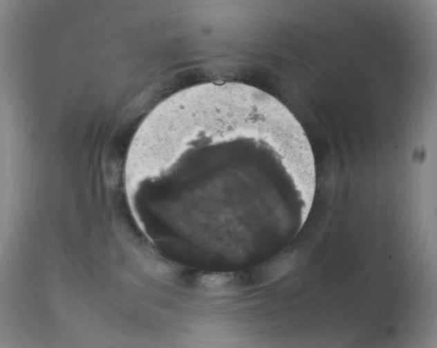 X0000111850139200909031736