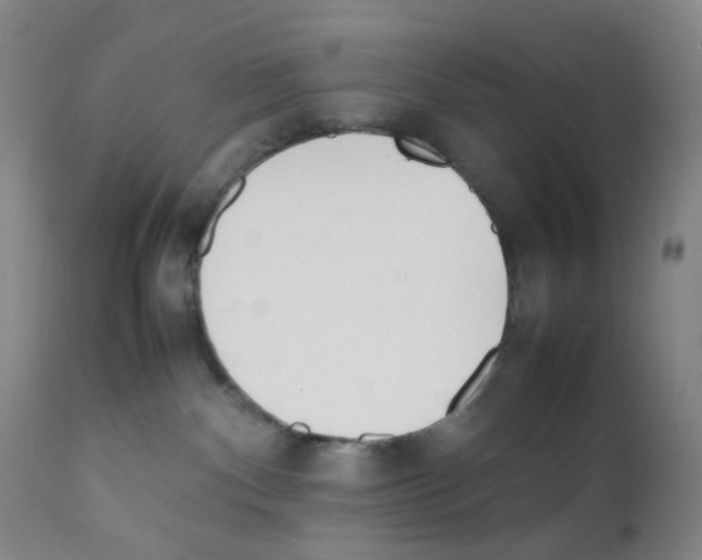 X0000111850140200909031736