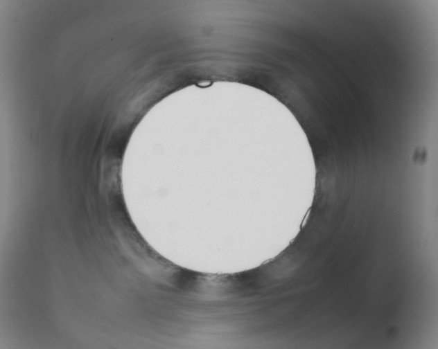 X0000111850141200909031736
