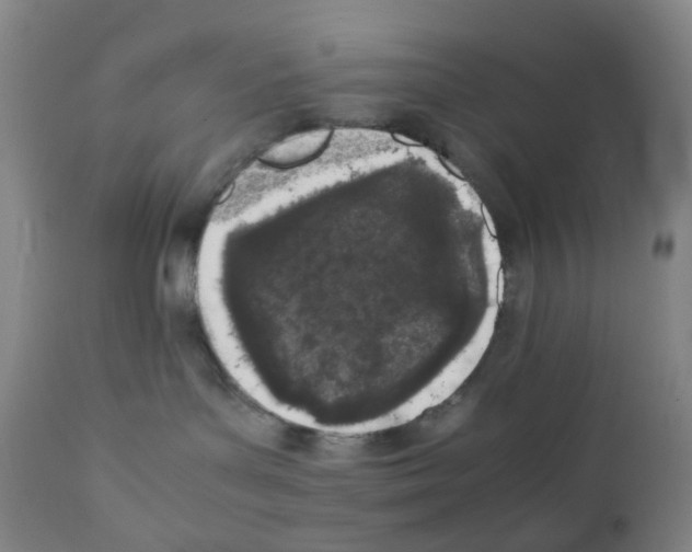 X0000111850143200909031736