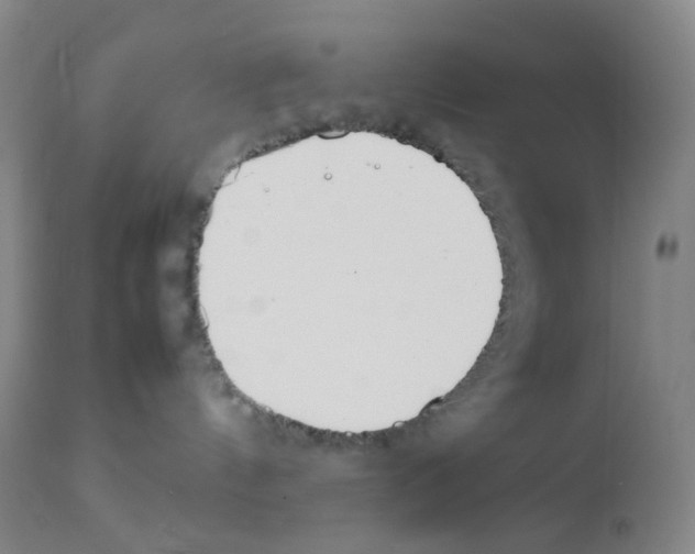 X0000111850144200909031736