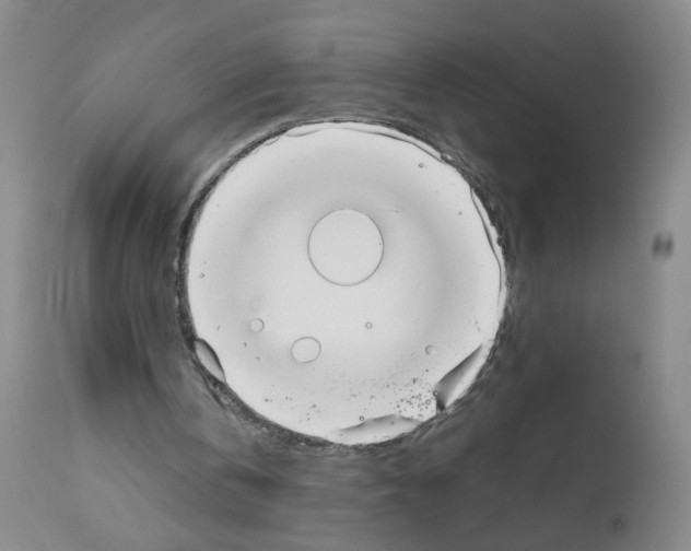 X0000111850146200909031735
